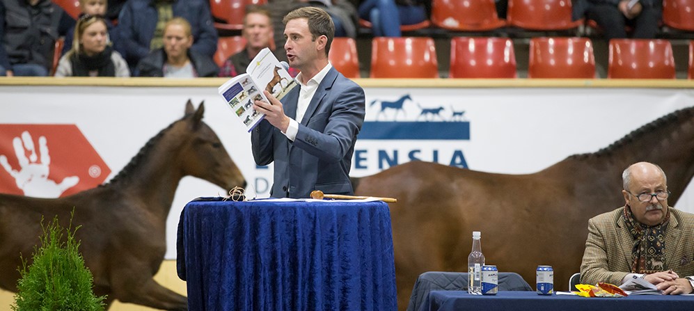 Elitfölauktionen utökas med embryon