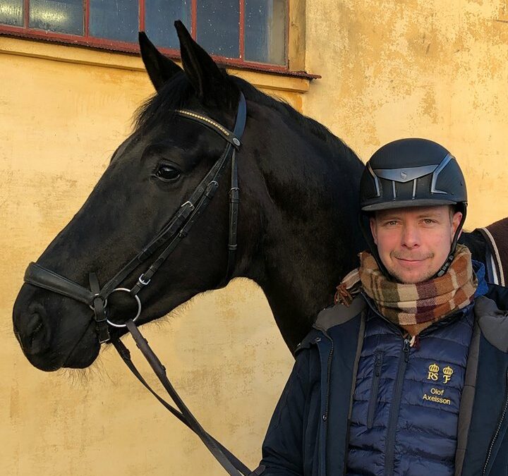 Tottelasse och Olof fann varandra på SWB Dressage Sale