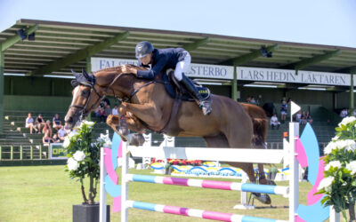 Guld och silver till SWB-hästar på SM