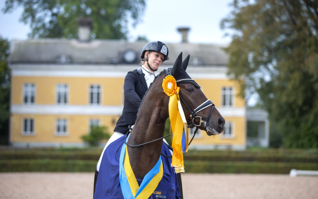 Nominerade hästar till Unghäst-VM i dressyr