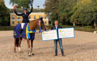 SWB Equestrian Weeks – två lyckade veckor avklarade!