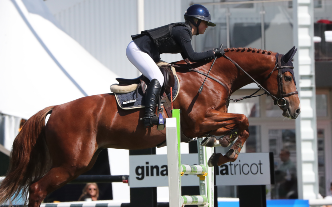 Guld- och bronspeng till SWB-hästar vid junior-SM!