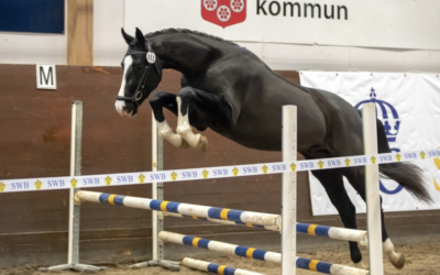 Rådgivande bedömning på Strömsholm genomförs 7 december