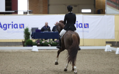 SWB Equestrian Weeks öppnar upp för äldre hästar