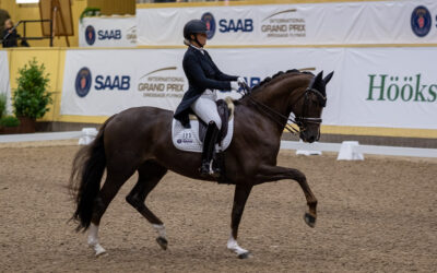 Ny sponsor säkrar internationella dressyrklasser i samband med SWB Equestrian Weeks på Flyinge