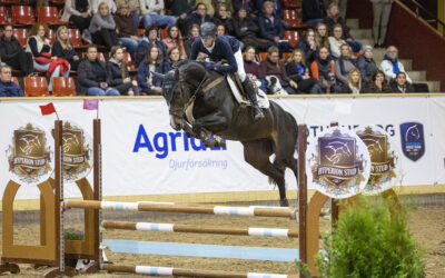 Amerikanskt stuteri sponsrar SWB-satsning på Gothenburg Horse Show