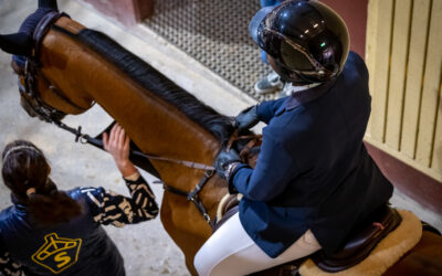 Tider och program för SWB Equestrian Weeks hoppveckan