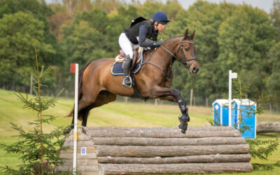 Anmälan till Breeders Trophy och SWB Riders Cup i fälttävlan är öppen!