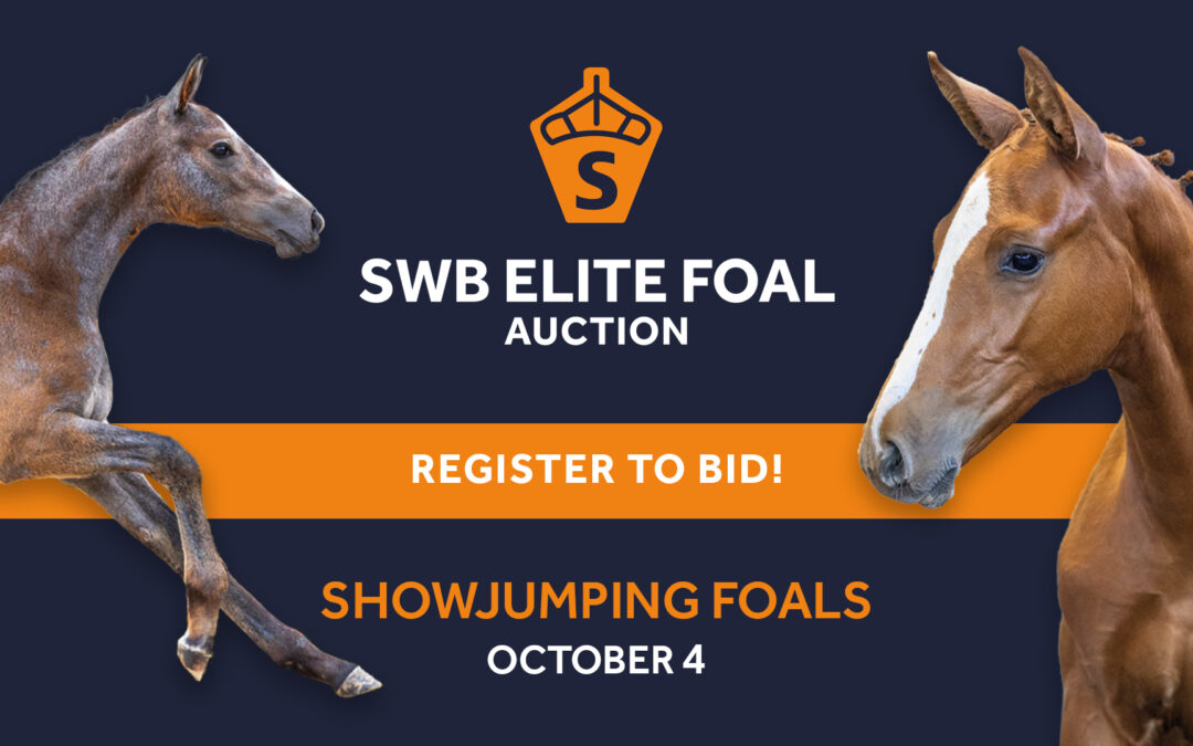 View the SWB Elite Foal Auction showjumping foals here