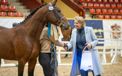 Dags för hoppning under SWB Equestrian Weeks