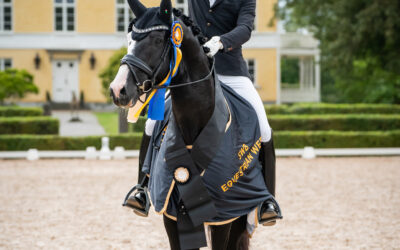 Oneofakind OM 1430 (SWB) vinnare av SWB Stallion Trophy för 6-åringar presented by Jacson