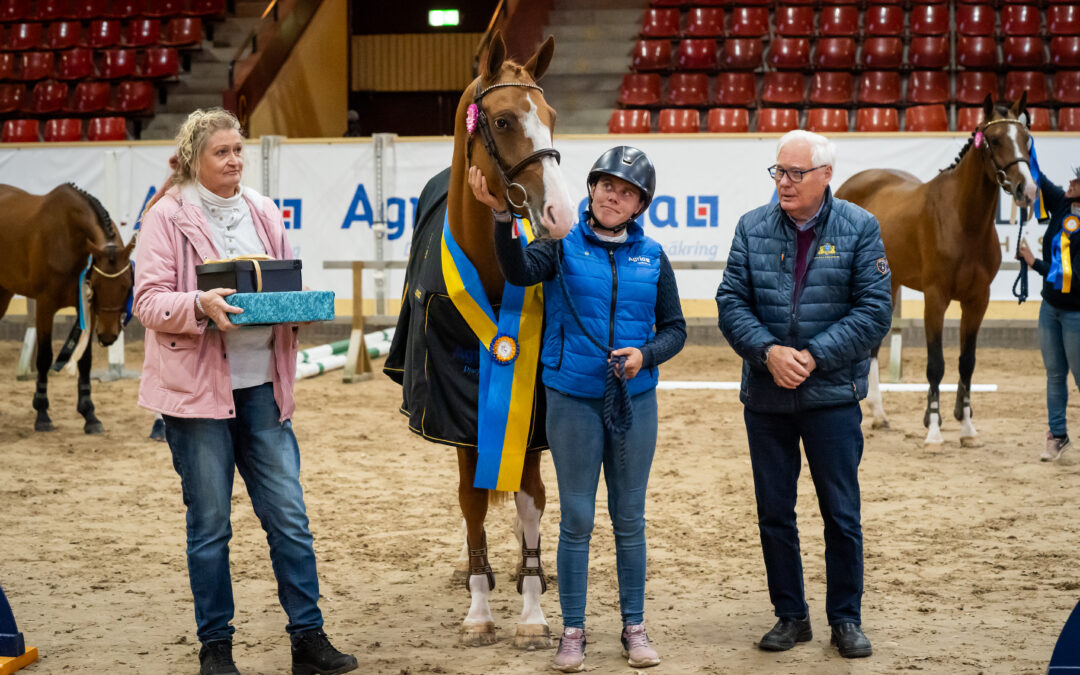 Sunny Girl SN (SWB) tog dubbelseger i SWBs championat och Rikssto