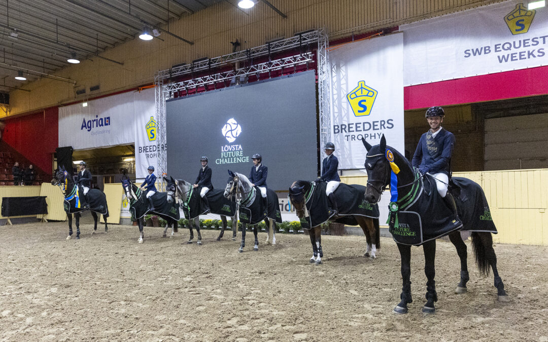 Finalklara SWB-hästarna för Gothenburg Horse Show och Lövsta Future Challenge