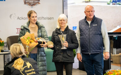 Uppfödare prisades under SWB Equestrian Weeks