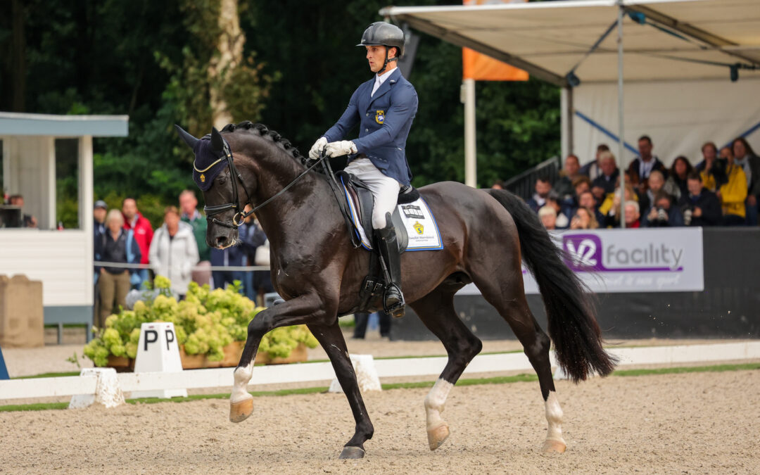 Kathmandu ES Z and Skyline To B top the list of most used stallions in Sweden