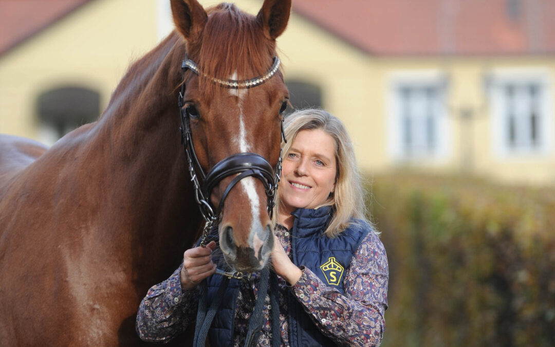 Swedish Warmblood prepares for leadership transition as Helén Uddefors plans retirement