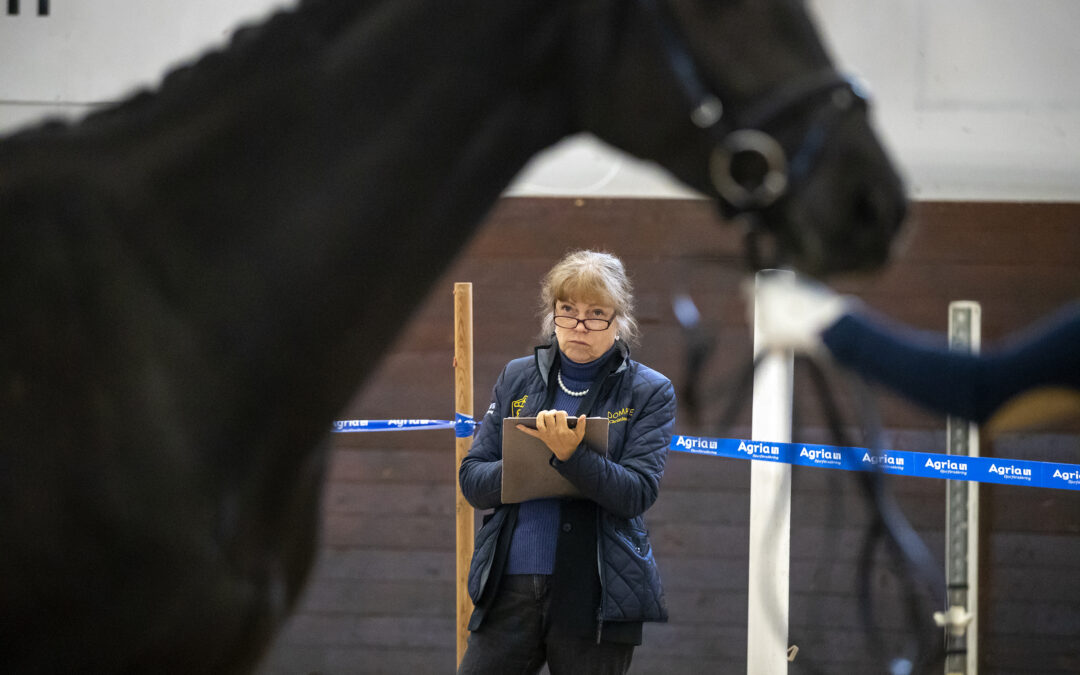 Ställ dina frågor och få information om förändringarna vid årets unghästtest!