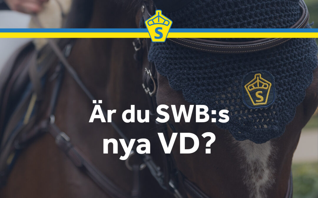 Är du SWB:s nya VD?