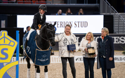 Vidar (SWB) winner of SWB Trophy dressage for 7 y/o horses