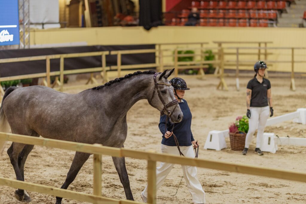 SWBs 3-årschampionat