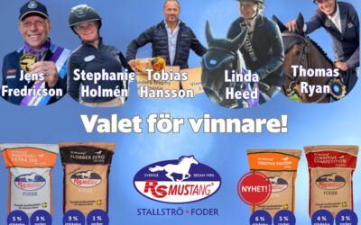 RS Mustang ny sponsor till SWB Equestrian Weeks – står bakom SWB Stallion Trophy