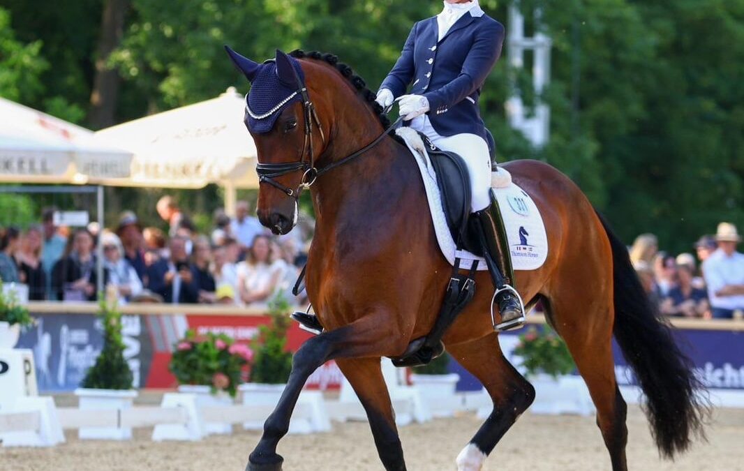 Jessica Lynn Thomas to test ride 4-year-old dressage horses during SWB Equestrian Weeks