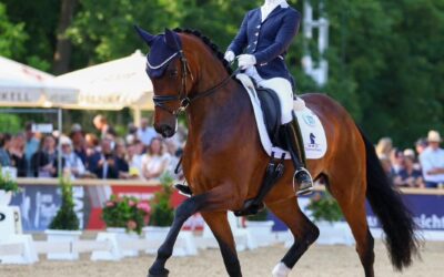 Jessica Lynn Thomas to test ride 4-year-old dressage horses during SWB Equestrian Weeks