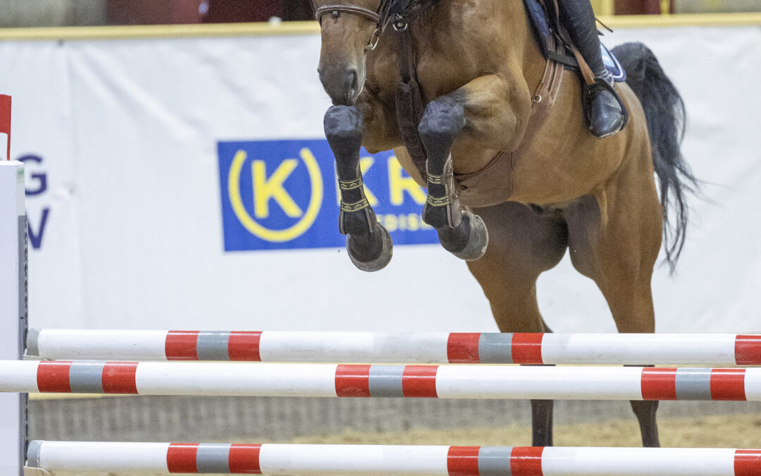 Här är de nominerade SWB-hästarna till Unghäst-VM i hoppning