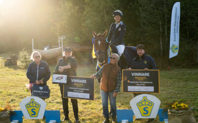 Civ V (8) (SWB) vinner Breeders Trophy för 5-åriga fälttävlanshästar