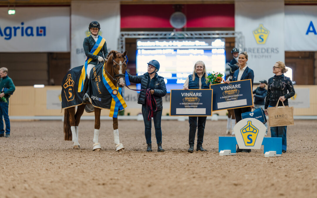Severucci Ht (SWB) 1477 med Jeanna Högberg vinner Breeders Trophy 6-åriga dressyrhästar by Lenz Hästfokus