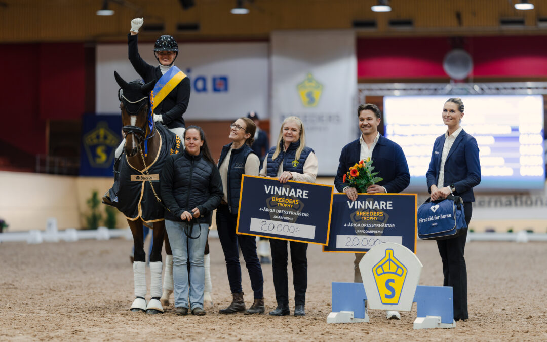 Mackmyras Amorino (SWB) med ryttare Lina Dolk vinner Breeders Trophy 4-åriga dressyrhästar by AJ Produkter