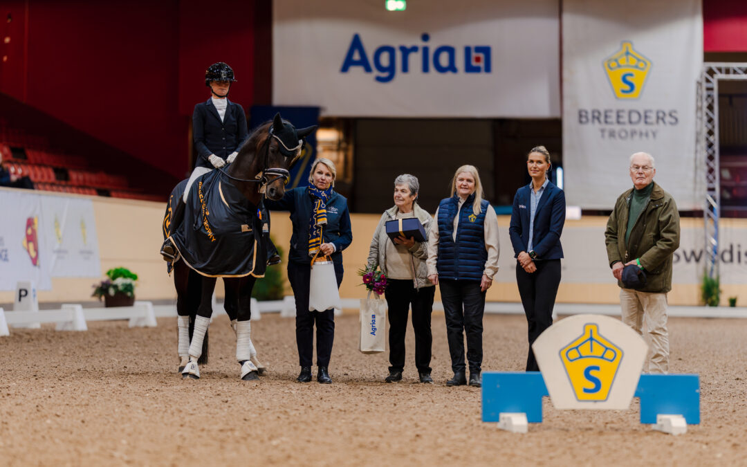 Santorio (SWB) 1473 vinner SWB Stallion Trophy för 5-åriga dressyrhästar by RS Mustang