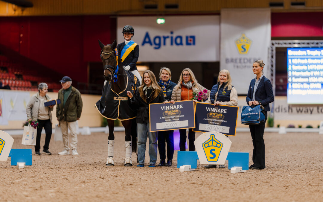 KS Frank Sinatra (SWB) med Lovisa Wessblad vinner Breeders Trophy 5-åriga dressyrhästar by Hyperion Stud