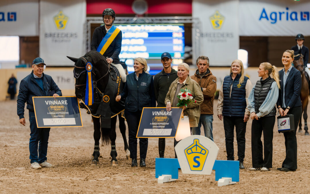 Charif Ek (SWB) 1504 med Joel Andersson vinner Breeders Trophy 5-åriga hopphästar by Hyperion Stud i samarbete med BHOOF