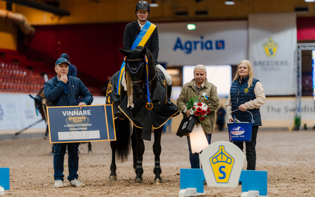 Charif Ek (SWB) 1504 vinner SWB Stallion Trophy för 5-åriga hopphästar by RS Mustang