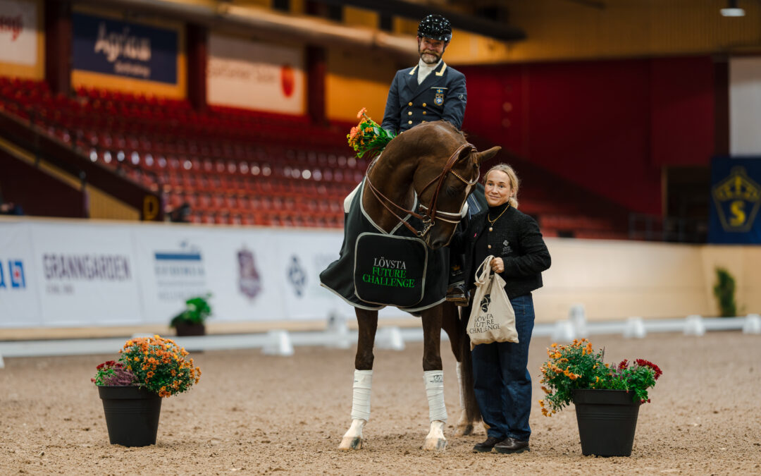 Delgado (SWB) med Mattias Jansson vinner Lövsta Future Challenge Dressage Unga Grand Prix hästar