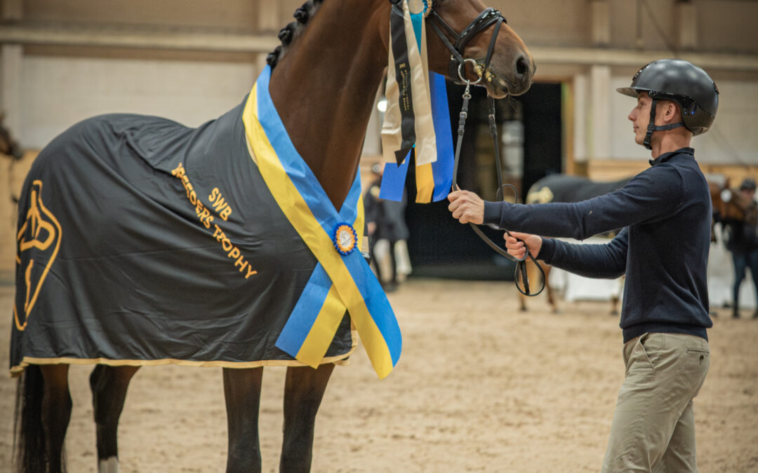 Balvenie VH (SWB) 9850 vinner SWB Stallion Trophy för 3-åriga dressyrhästar by RS Mustang