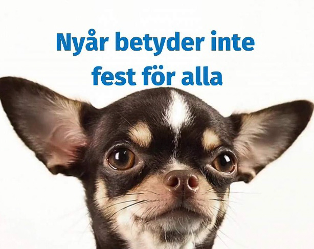 SWB på fyrverkeriseminarium i Riksdagshuset 2025-11-19