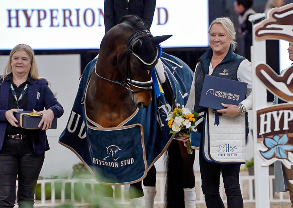Santorio 1473 (SWB) winner of SWB Trophy Dressage for 6 y/o horses
