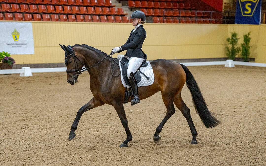 Greta Höjbert redo för Scandinavium – debut i dubbel bemärkelse