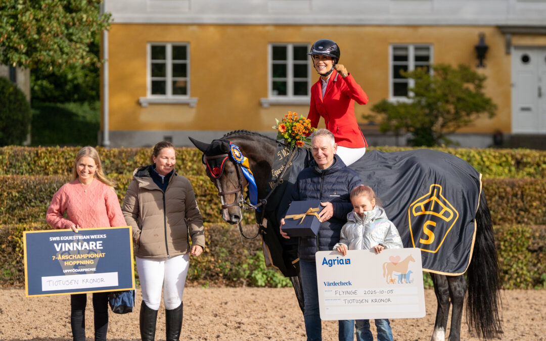 SWB öppnar 7-årschampionaten för hästar från alla stamböcker