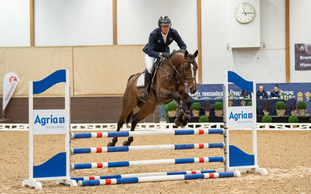 Fyra bruksprovsvinnare utses vid årets Bruksprov