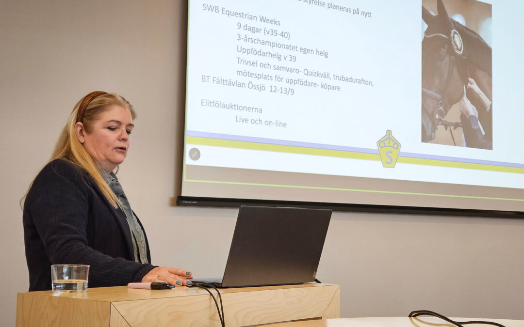 Sammanfattning av SWB:s årsmöte 2026