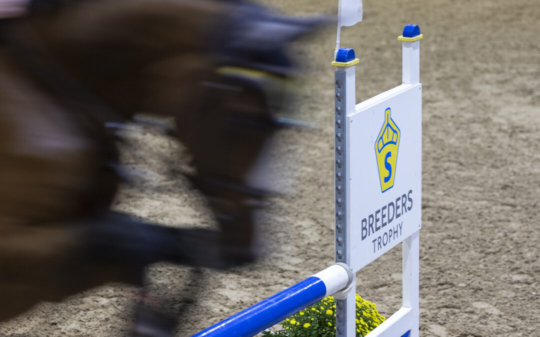Kvalreglerna för Breeders Trophy 2026 är klara – här är ändringarna