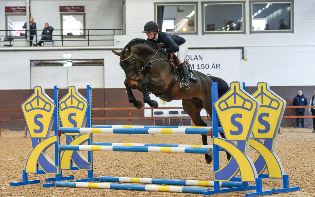 De Oratore (SWB) and Still a Secret are the 2026 SWB Stallion Performance Test Winners