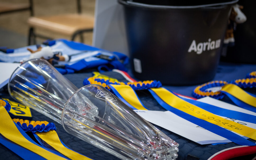 SWB uppmärksammar bästa svenskfödda hästar under New Era International Dressage på Flyinge