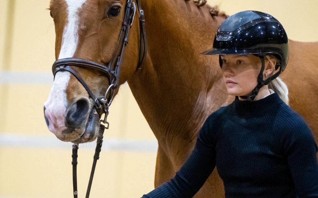 Undersökning om visningsfrekvens bland 3- och 4-åriga unghästar