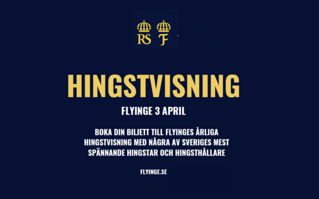 Flyinges hingstvisning 3:e april
