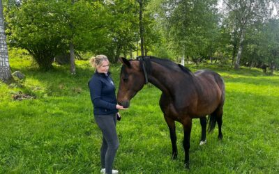 SWB välkomnar Qulinda som ny medlemspartner